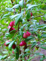 Image: Jonathan Boow © Jonathan Boow 